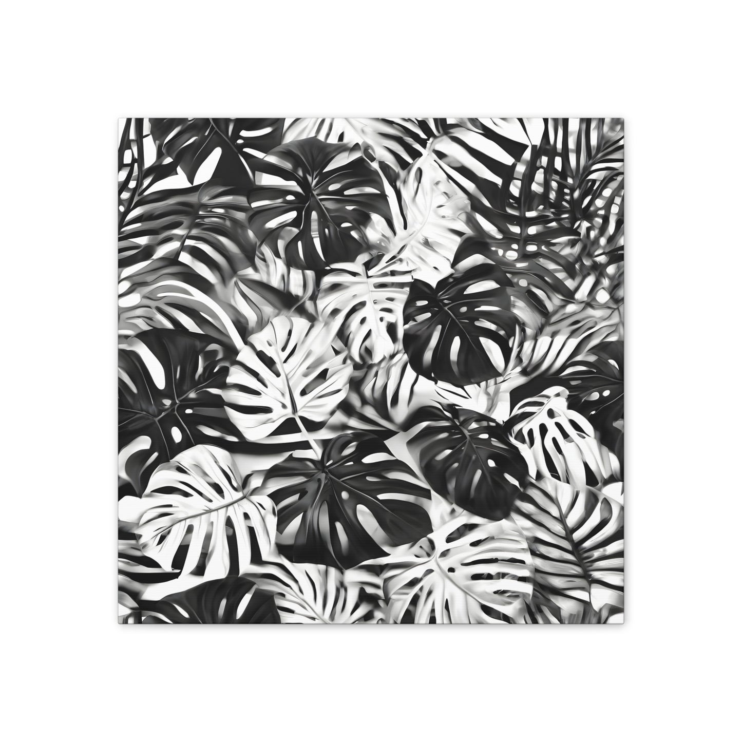 Black and White Leaf Aesthetics