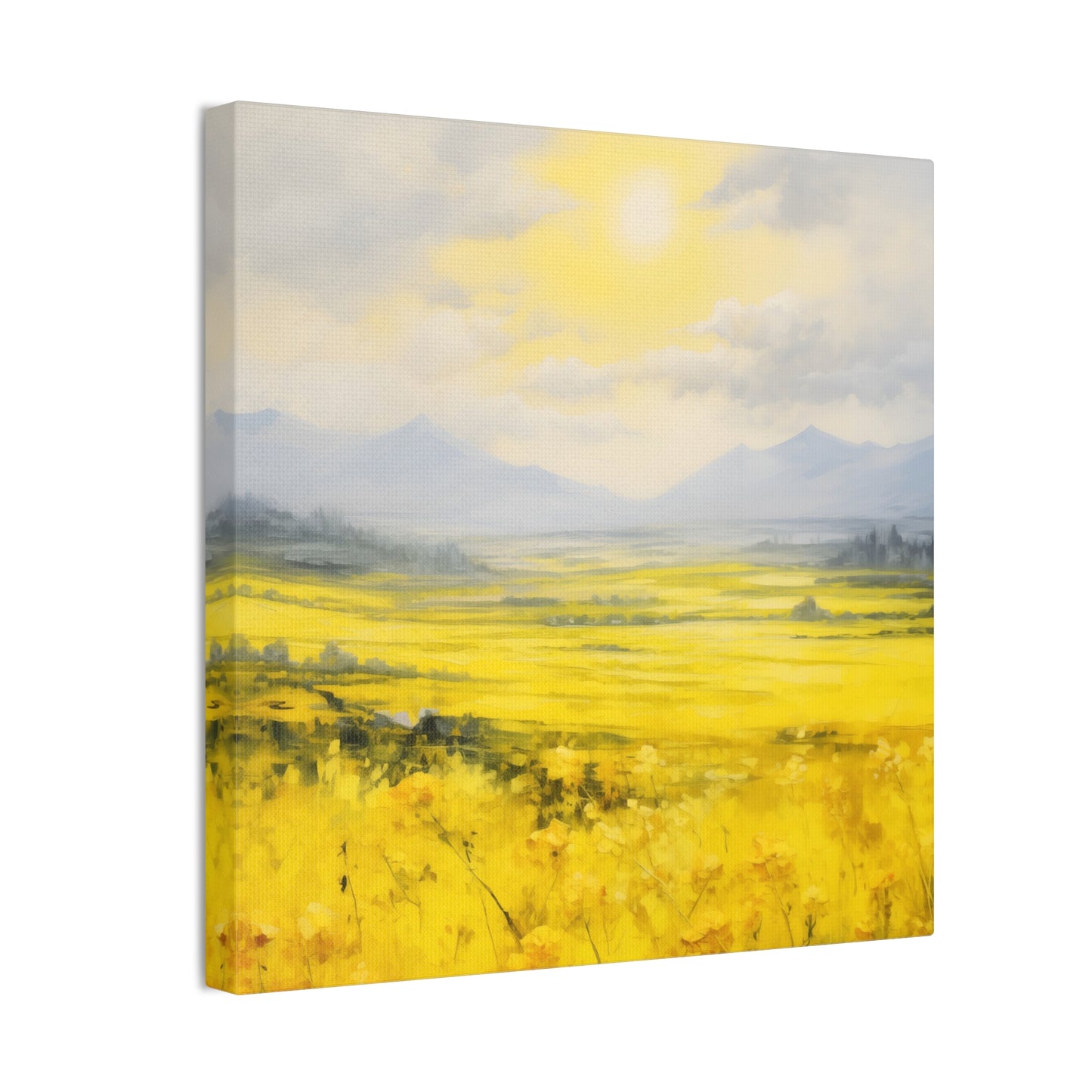 Rapeseed Radiance