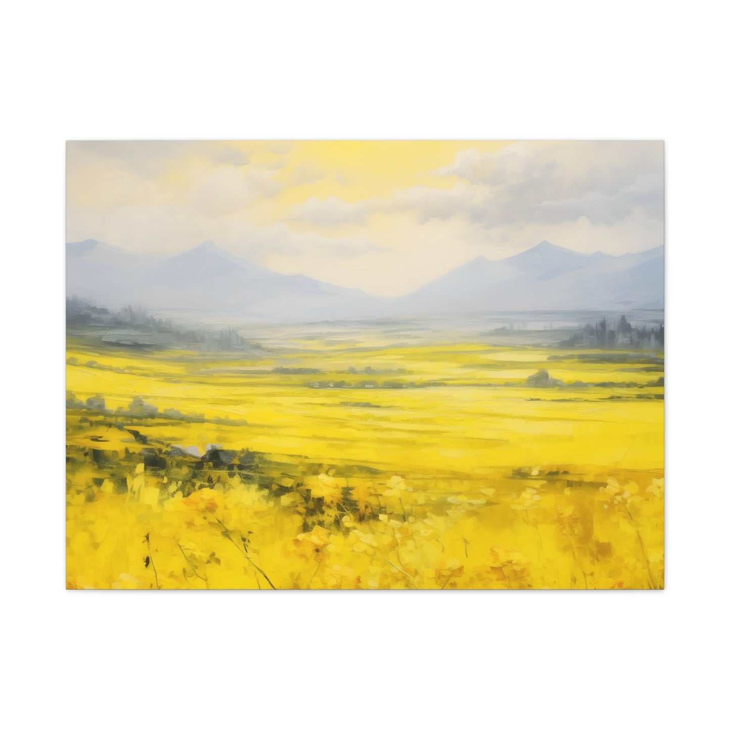 Rapeseed Radiance