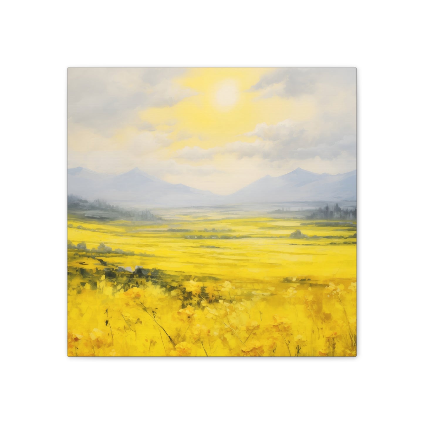 Rapeseed Radiance