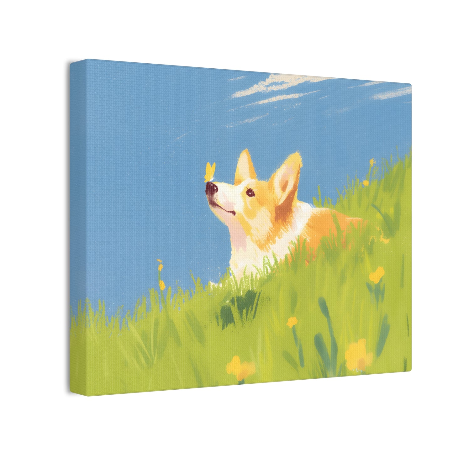 Corgi’s Day Out