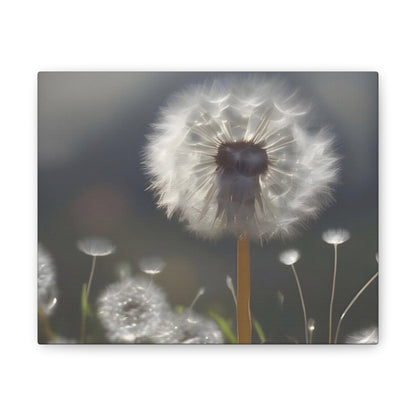 Dandelion